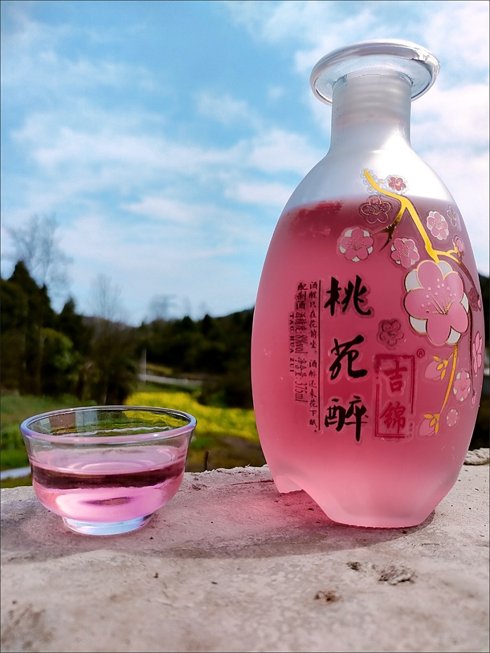 我总觉得自己无欲无求,到头来才发现还是身在人世间