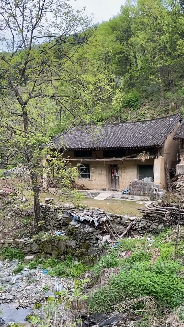 待我了无牵挂,从此归隐天涯,深山老屋为家,远离尘世繁华,忙时修篱种花