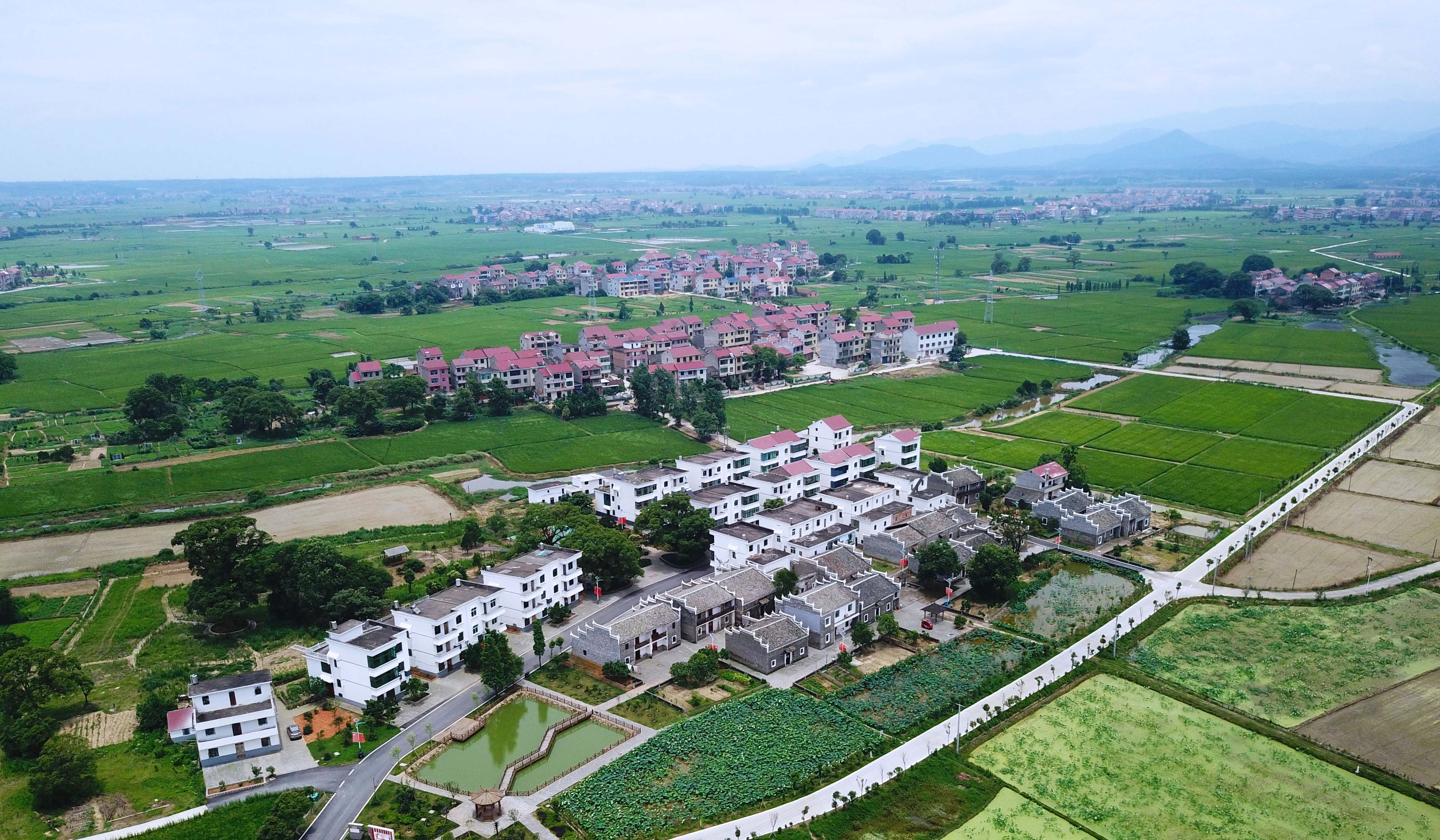 未来农村兴起的"3个金饽饽",马云早发出暗示,懂行人早下手了