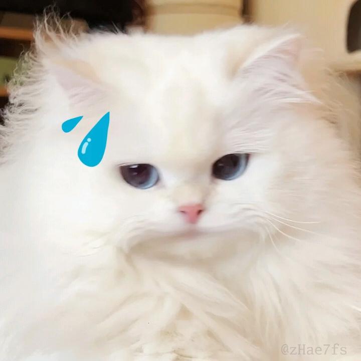 快手图片无水印提取