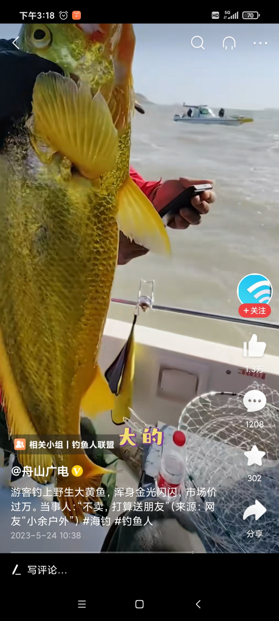 舟山嵊泗海域,一男子幸运地钓上了一条野生大黄鱼,大黄鱼通体呈现金