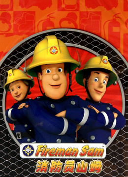 消防员山姆第六季