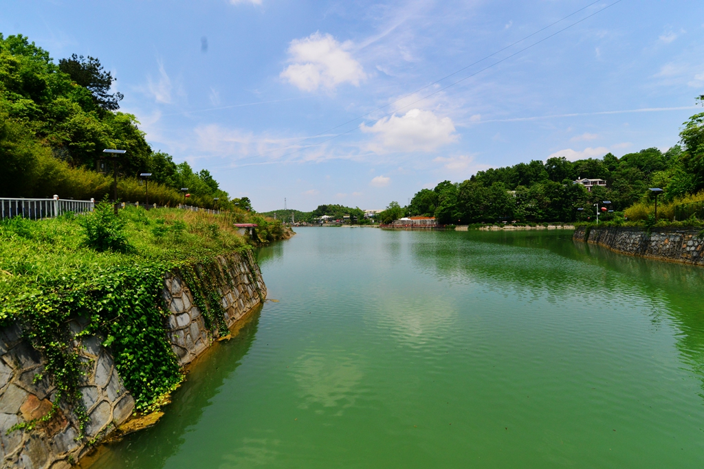 贵州贵阳:初夏车田景色美如画卷