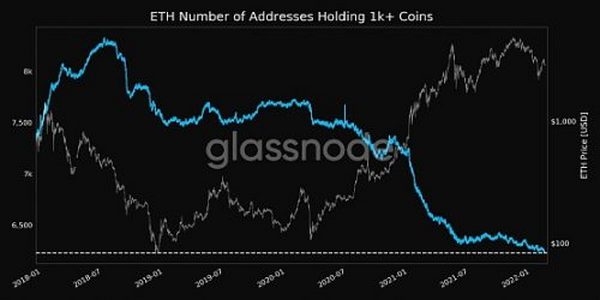 以太坊巨鲸数量减少 将影响价格预期？