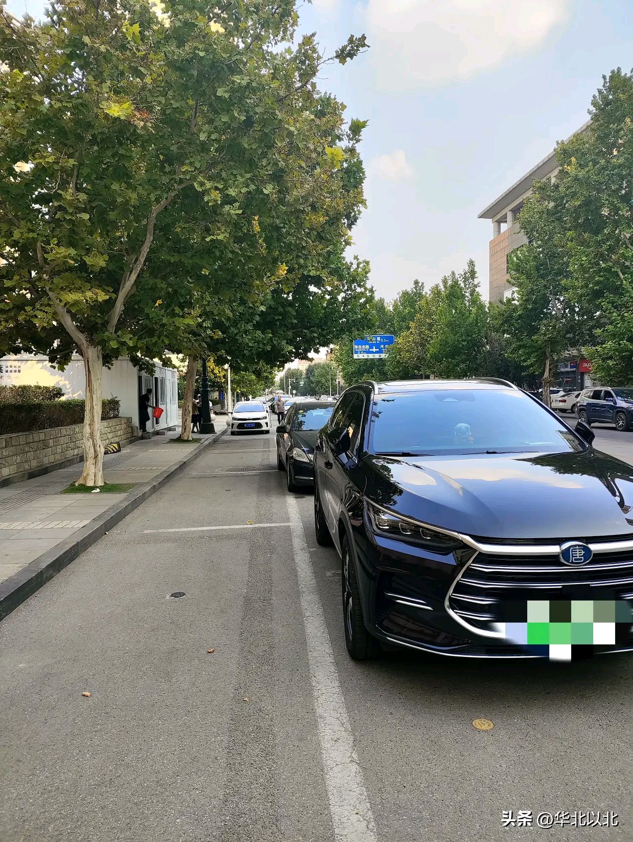乐享周末分享吧 天津市中心核心地区老实停在路边格停车位里的被