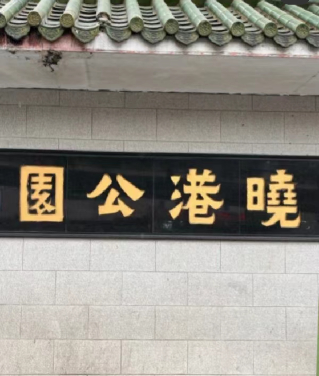 广州晓港公园～江南西 [已阅]晓港公园是以竹林为主的专业性公园 [赞