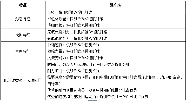 肌肉是人体的动力器官,在人体主观意识指导下,通过神经传递,控制肌肉