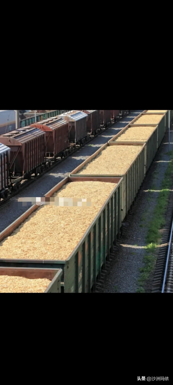 唯一能运出乌克兰粮食的火车还出轨翻车了,真是祸不单行.