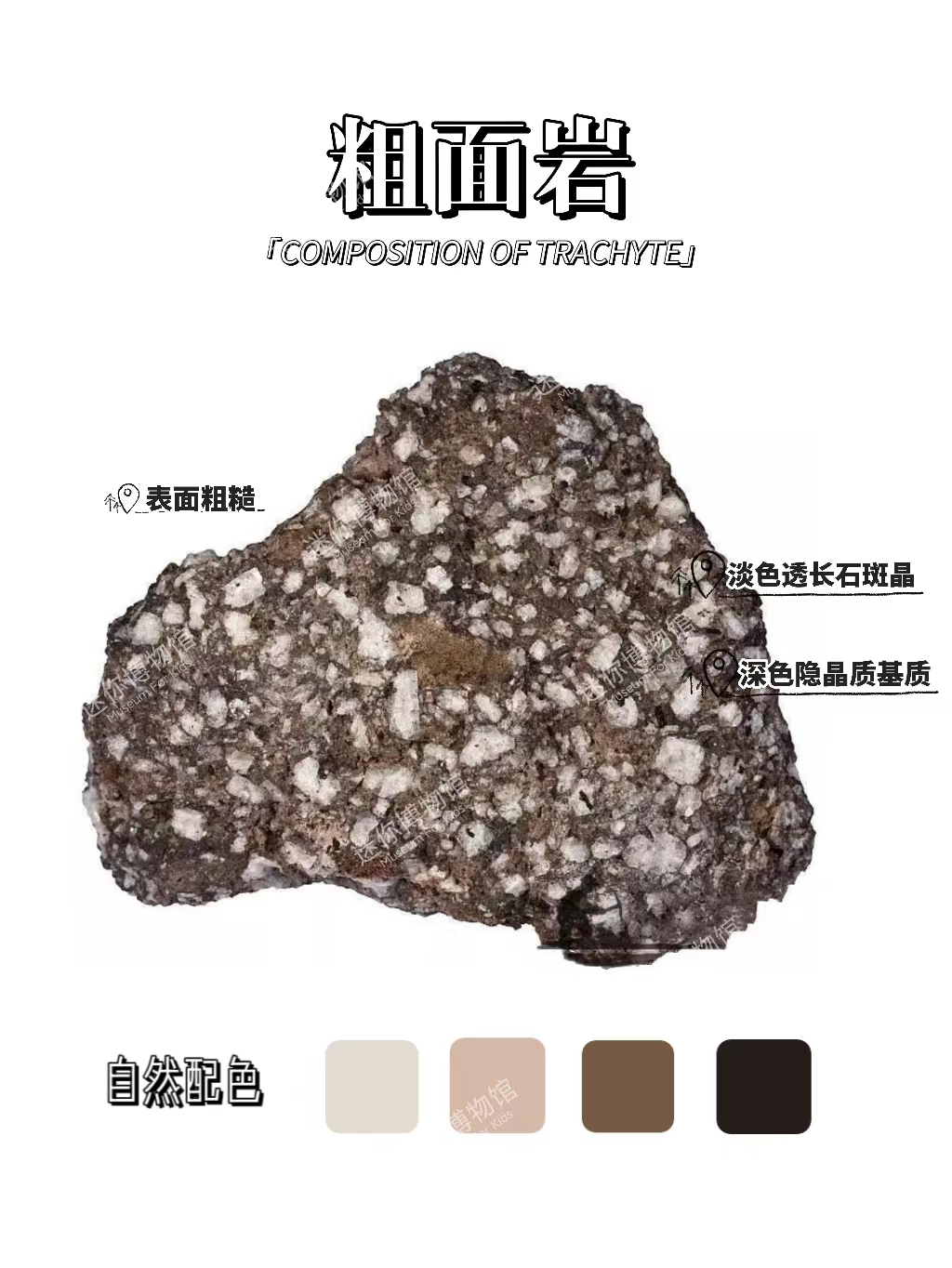 每天认识一种岩石科普:粗面岩