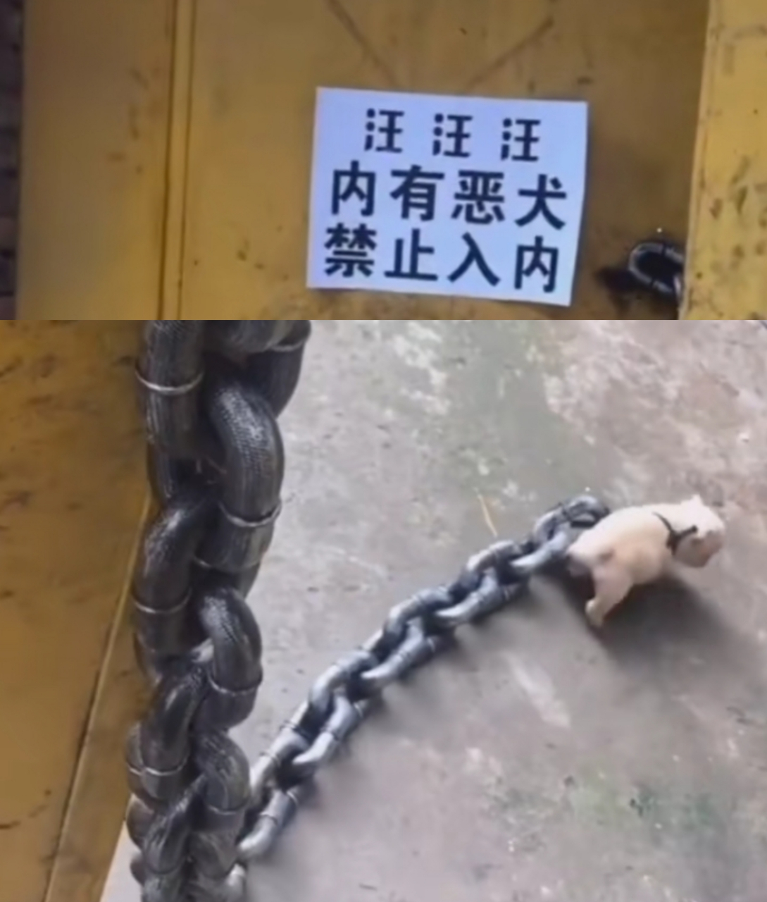 搞笑:内有恶犬,禁止入内,用这么粗的铁链,你是认真的吗#搞笑# #趣图