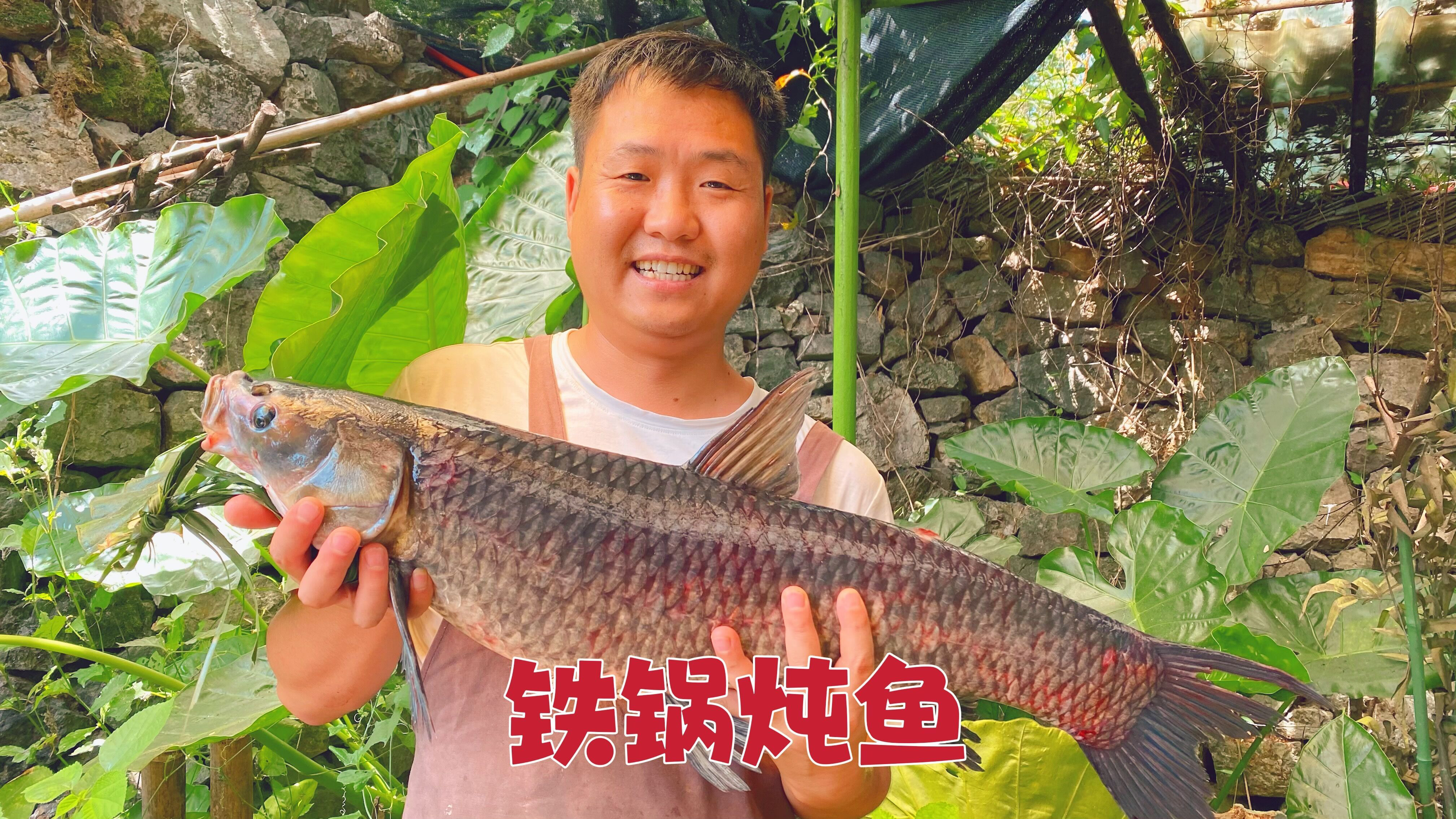 按董事长的方法炖鱼,味道真不错