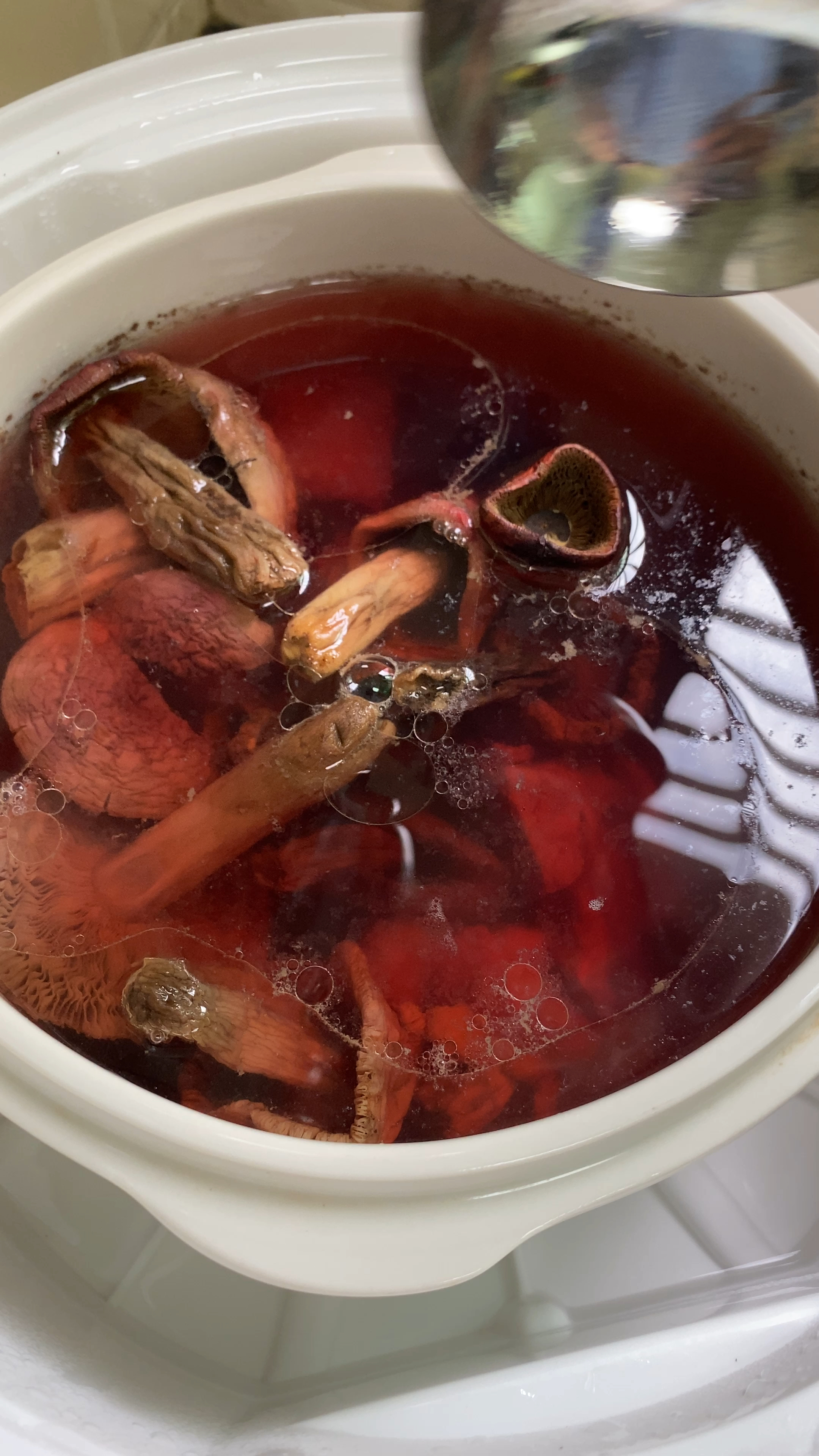 很多人都不懂红菇怎么炖?