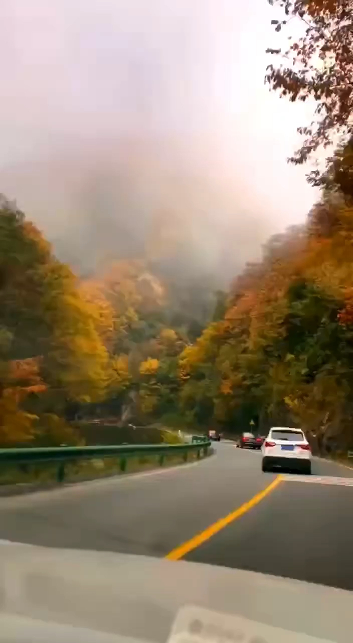 米倉山外靠近光霧山鎮上的景色每次開車過去在此處就開始get到光霧山