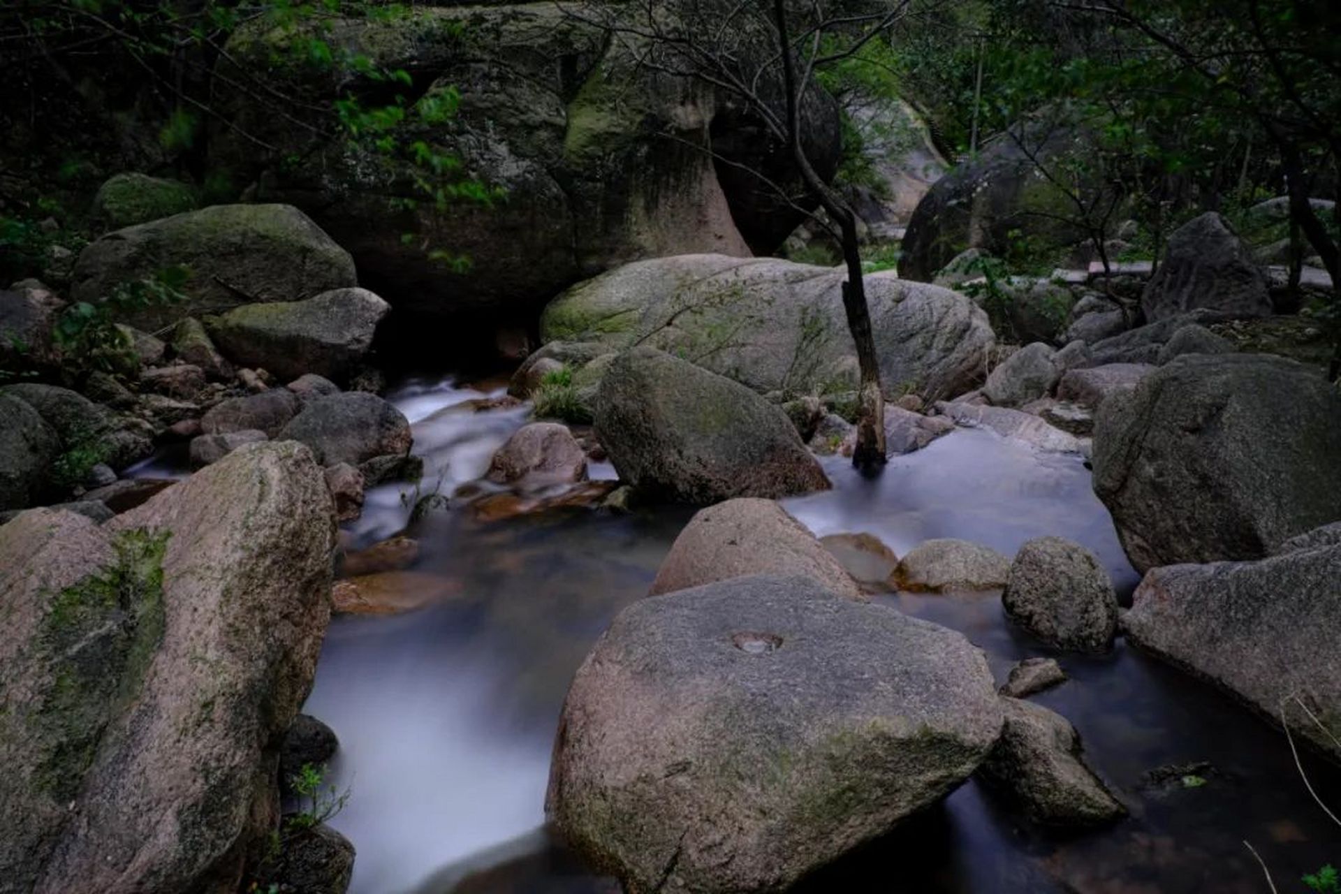 夏日生活创作季# 画眉谷景区暑期旅游攻略.