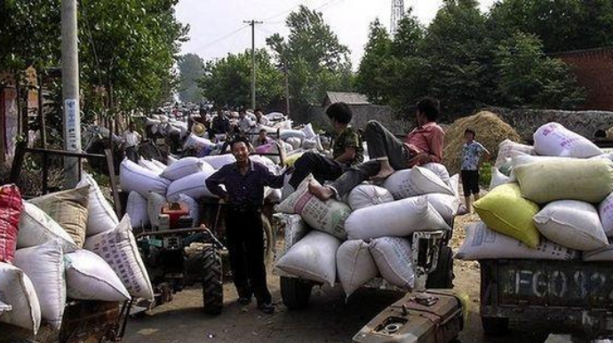 交过公粮的农民,每人补贴8万,每月养老金400?真的吗?答案已出