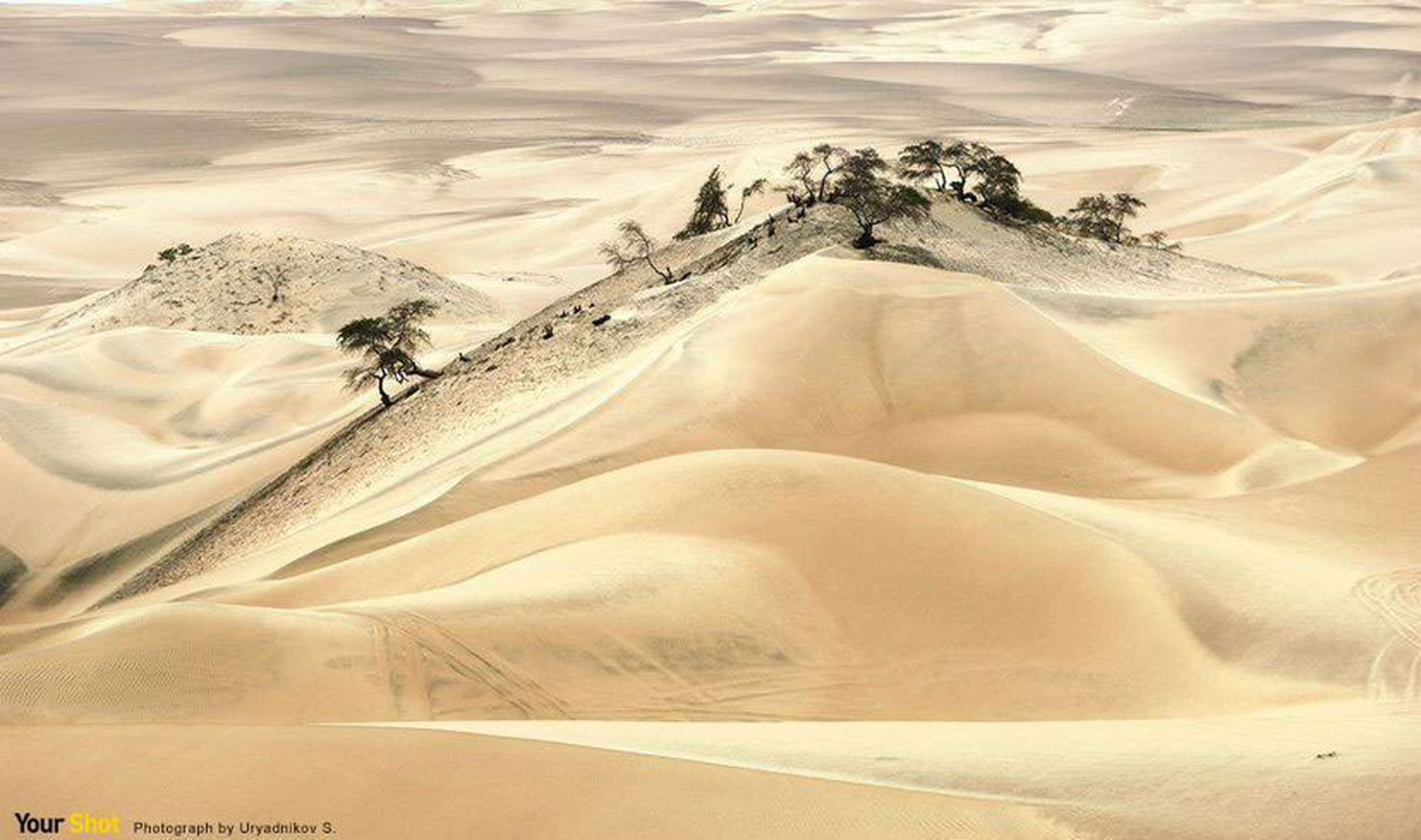 全世界最干旱的地方不是非洲的撒哈拉沙漠,而是南美洲的纳斯卡沙漠,乍