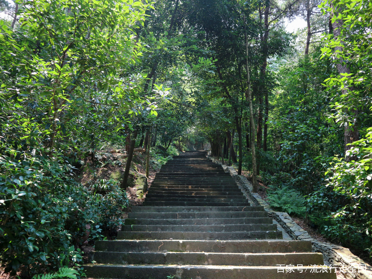 歌乐山森林公园(歌乐山森林公园路线图)
