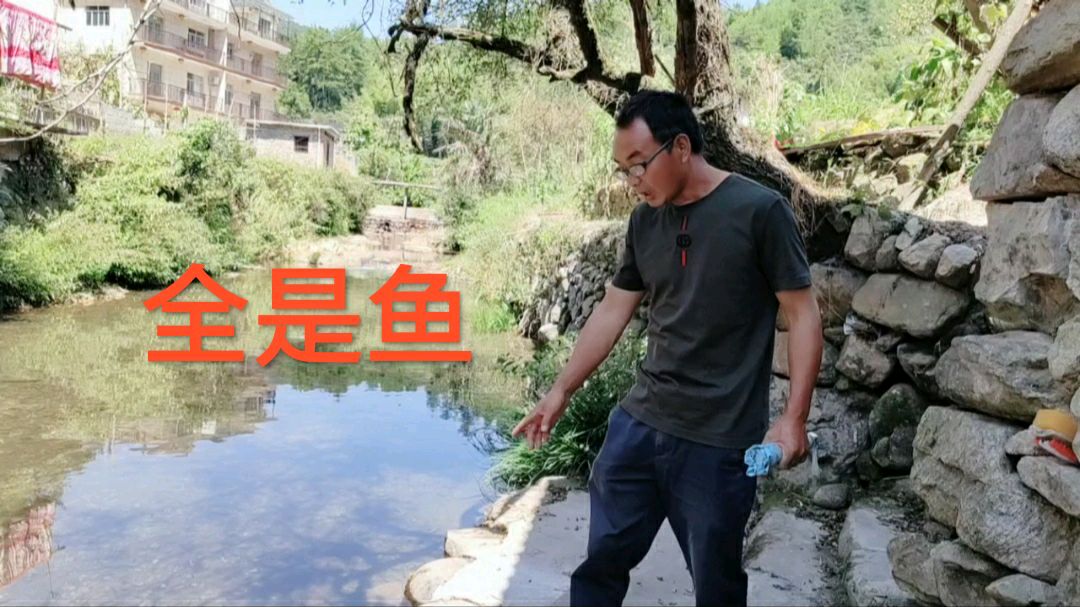 小山村的溪流里全是石斑鱼,密密麻麻,清晰可见