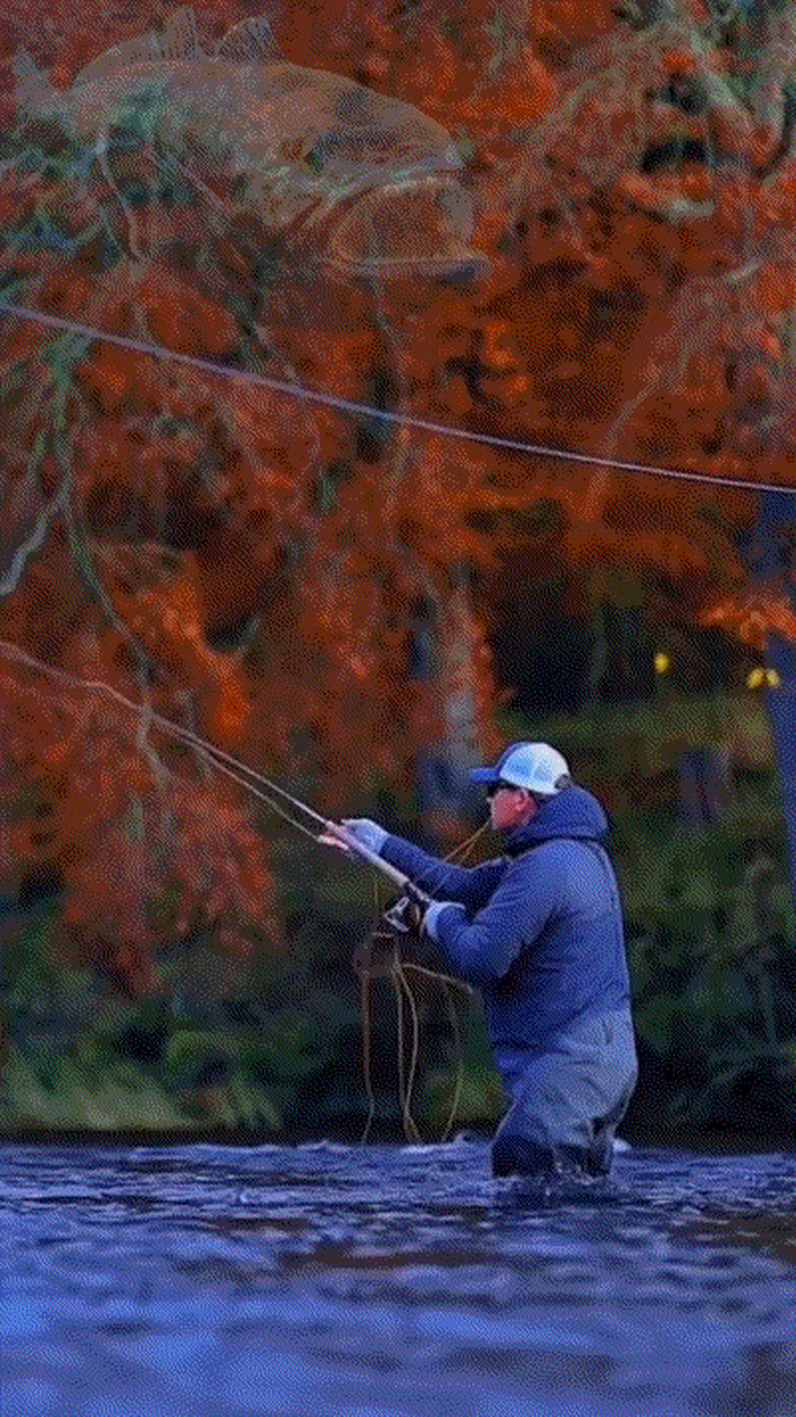 飞蝇钓很费钱的玩法[吃鲸][吃鲸][吃鲸] #钓鱼# #路亚匠