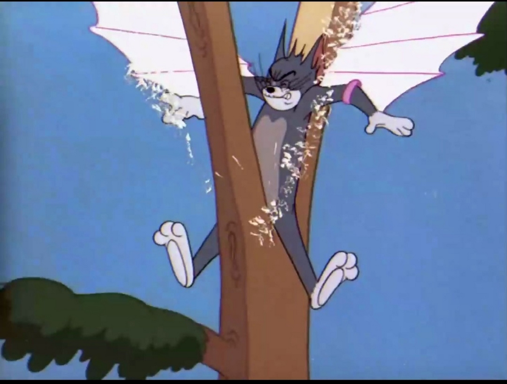 破案了!这树肯定是汤姆劈开的