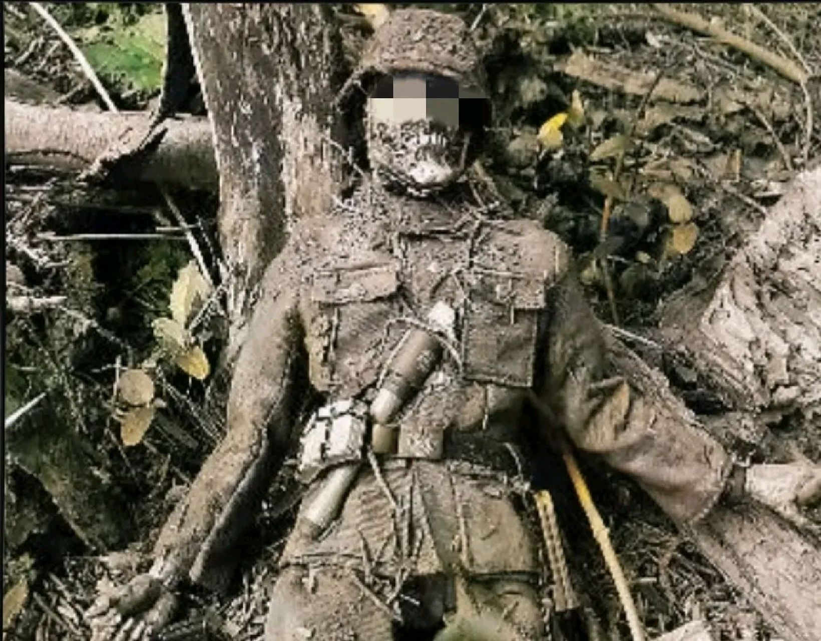 1945年,柏林郊外,一具风干了的纳粹士兵遗骸,凄惨地躺在树桩旁,仔细看