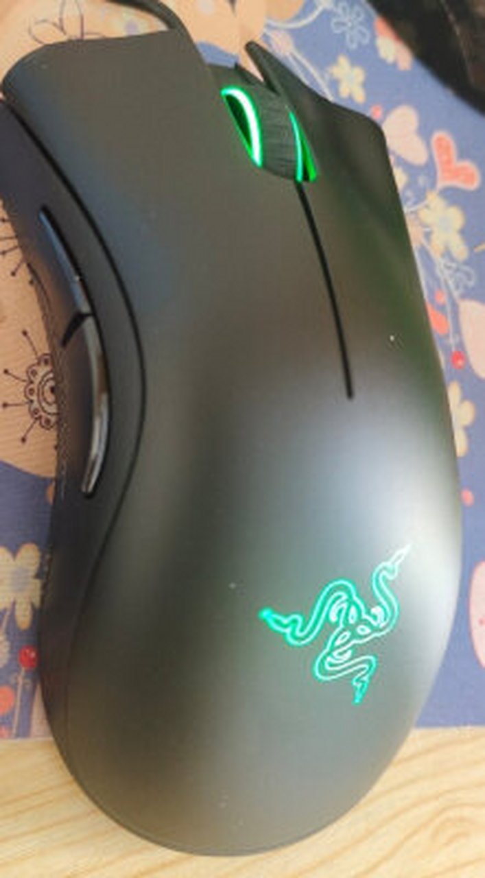 雷蛇 炼狱蝰蛇精英版鼠标怎么样,雷蛇炼狱蝰蛇2000评测  雷蛇炼狱蝰蛇