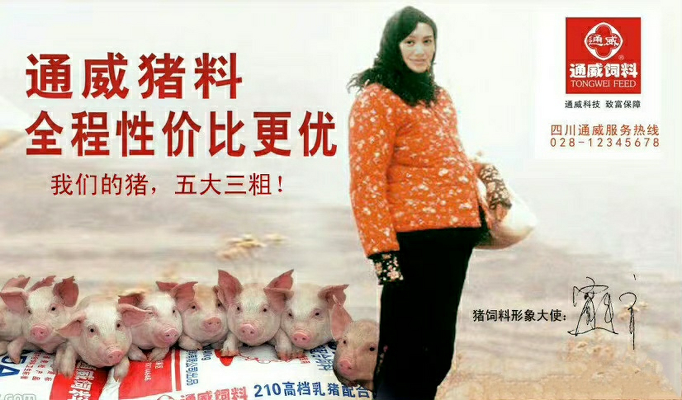 经典猪饲料广告图片