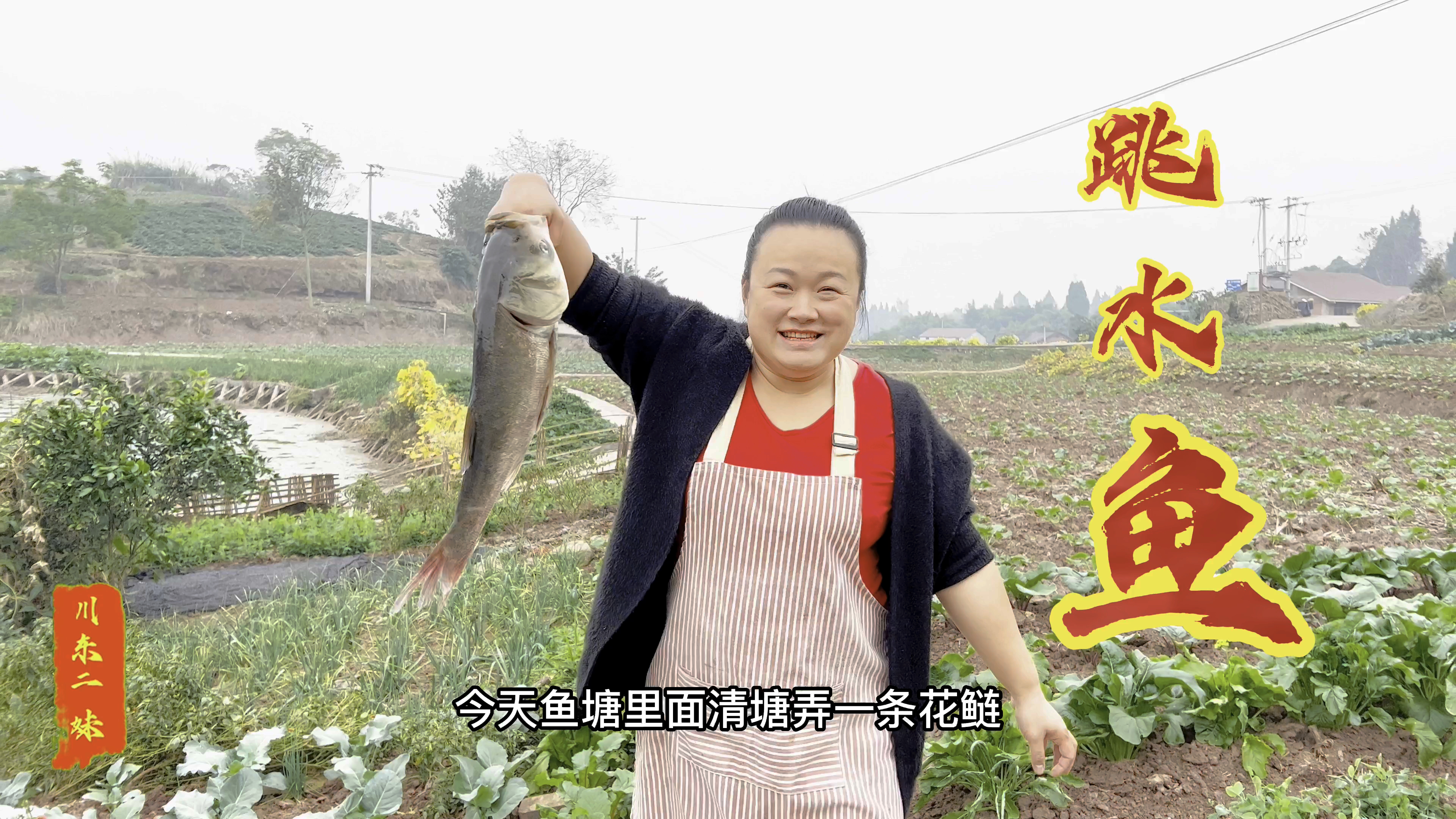 二妹用花鲢做一道色香味俱全的跳水鱼,麻辣鲜香,味道霸道惨了