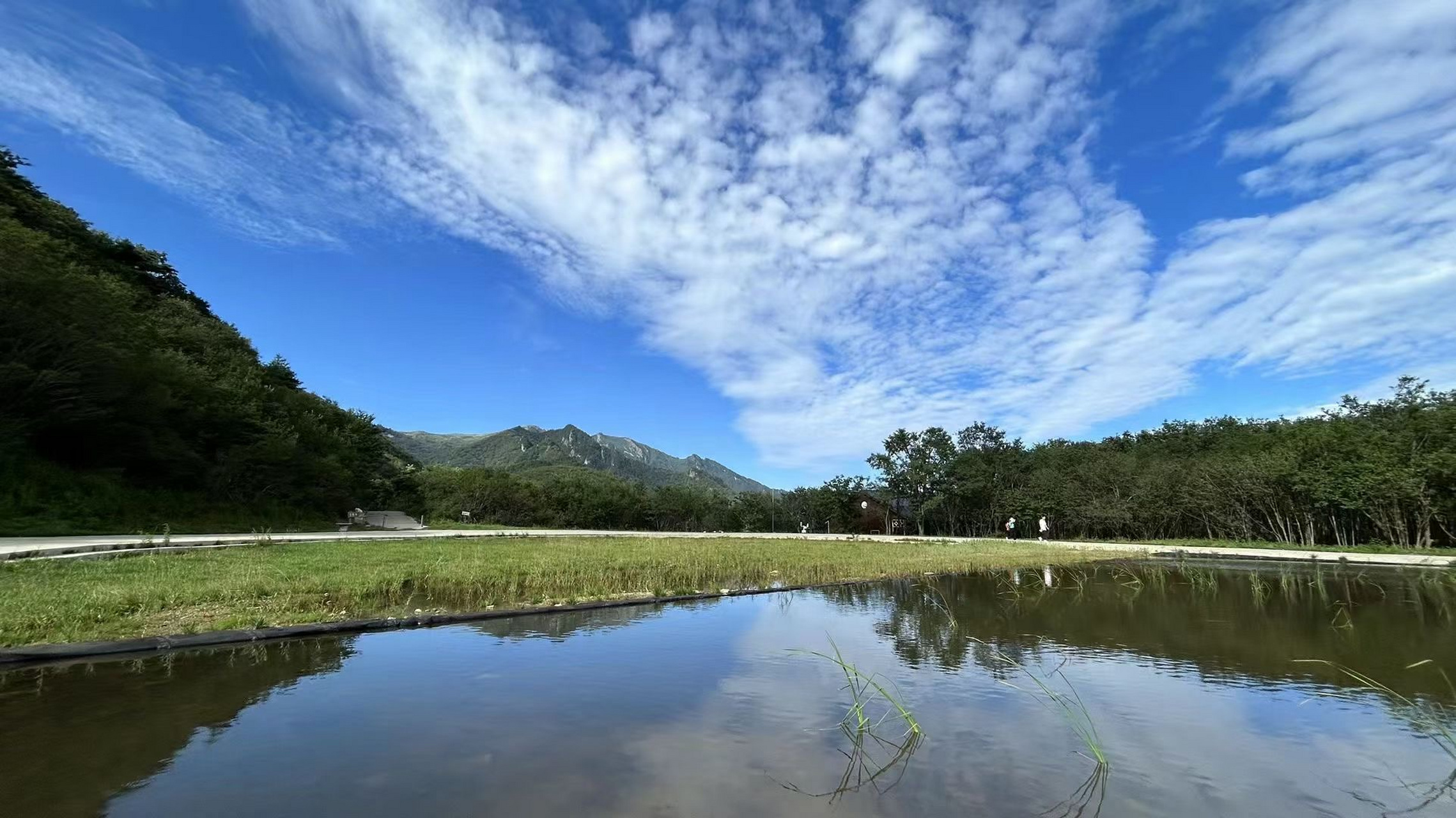 人为了钱起早贪黑,人为了情掏心掏肺,到头来,钱带不走,情留不下.