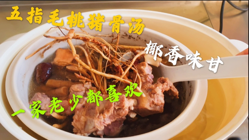 炖一煲五指毛桃猪骨汤,淡淡椰香味、味甘凉,一家老少都爱喝!