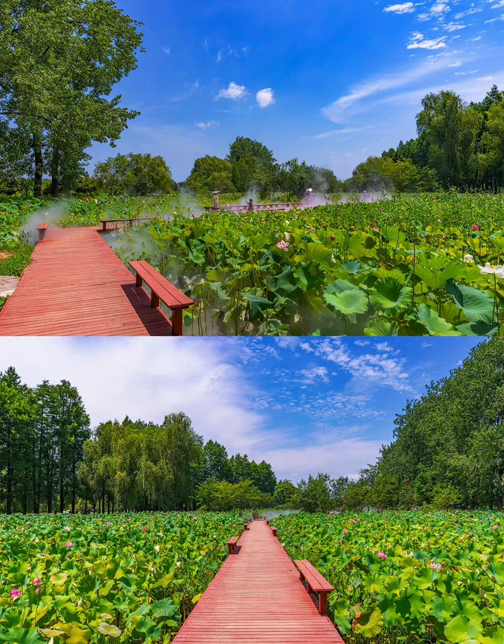 芜湖市陶辛水韵景区图片