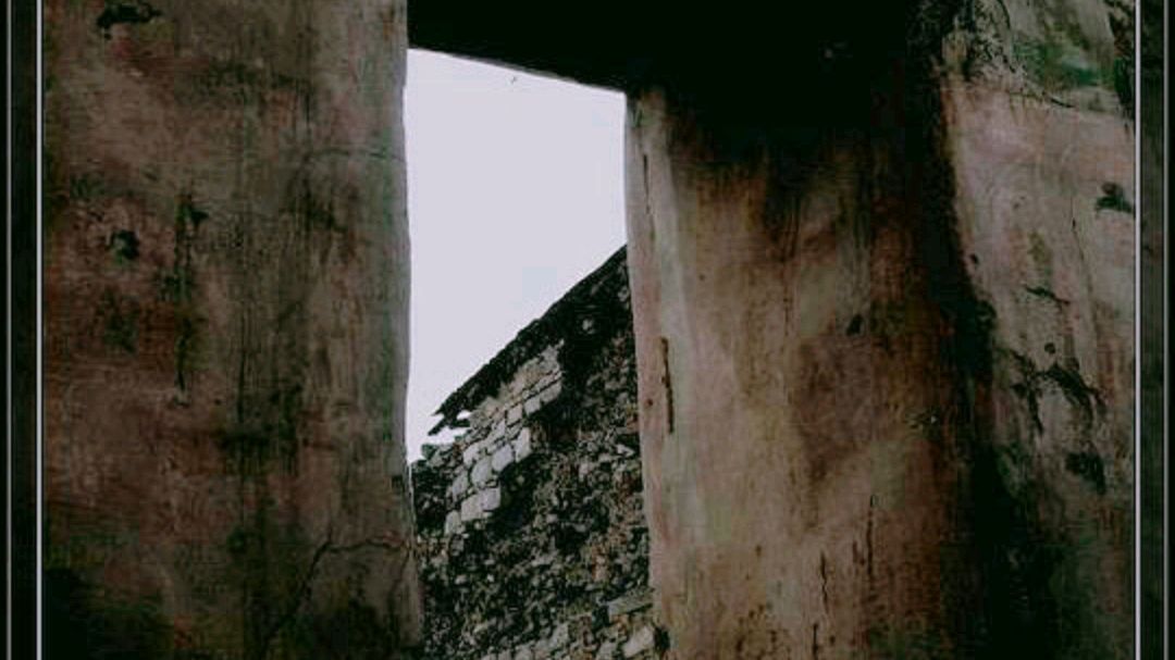 当纳聚会(donner party )