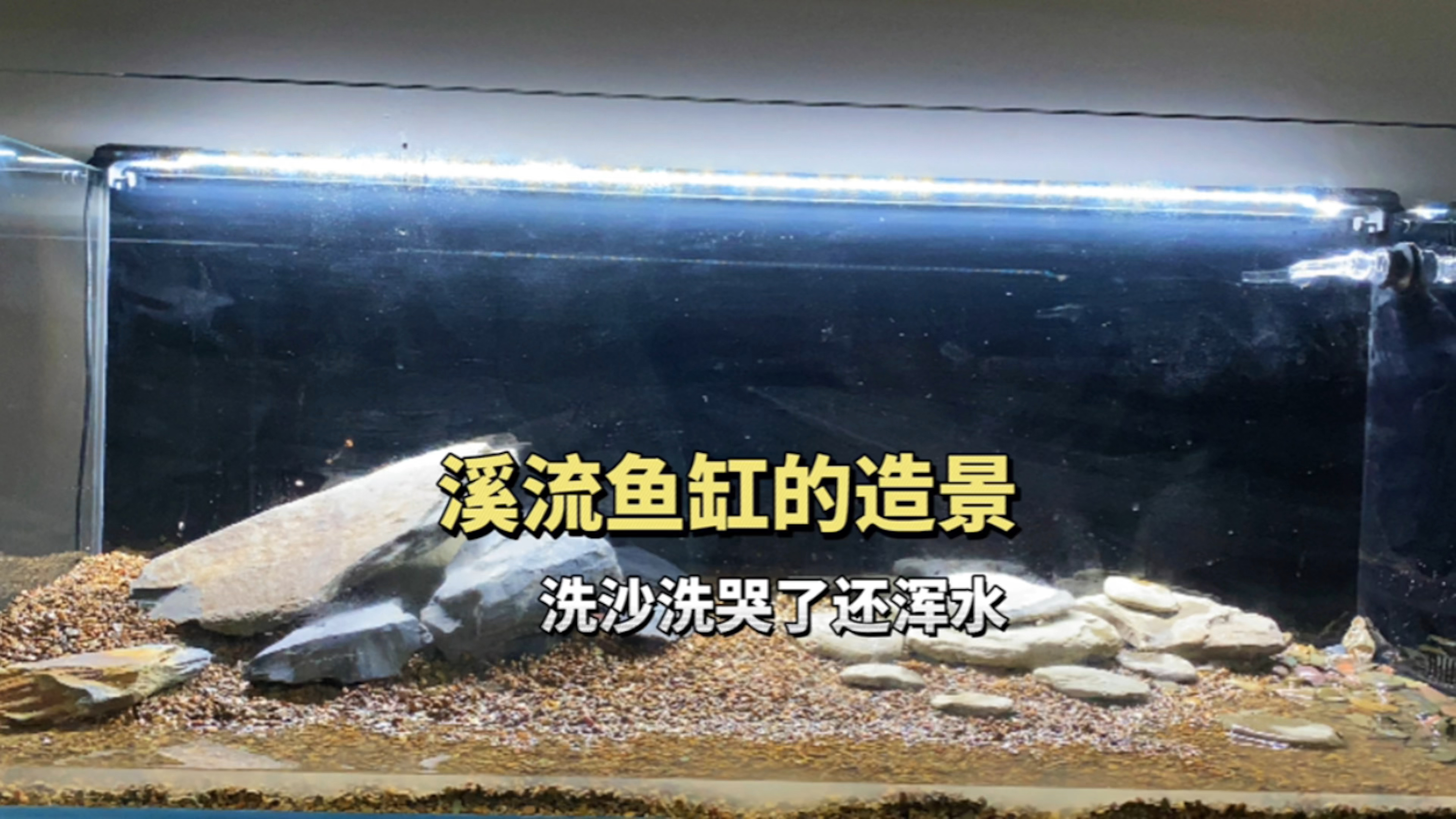 溪流原生缸的造景,原生缸没有滤材可以养好水吗?