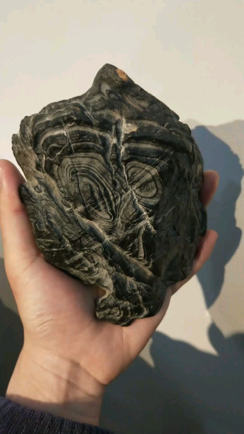 今天寻得一方老白马纹石,藏家们上眼看看