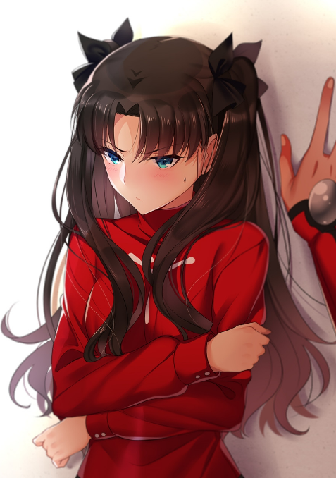 fate系列女角色大盘点:美丽,强大,多样的魔法少女们!