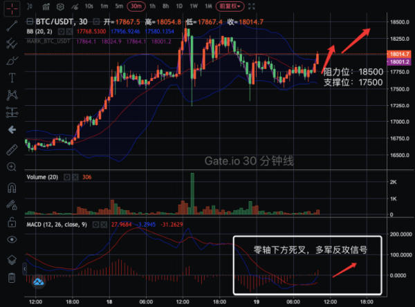 【合约日报】市场都在等着被拖下水的“韭菜精”