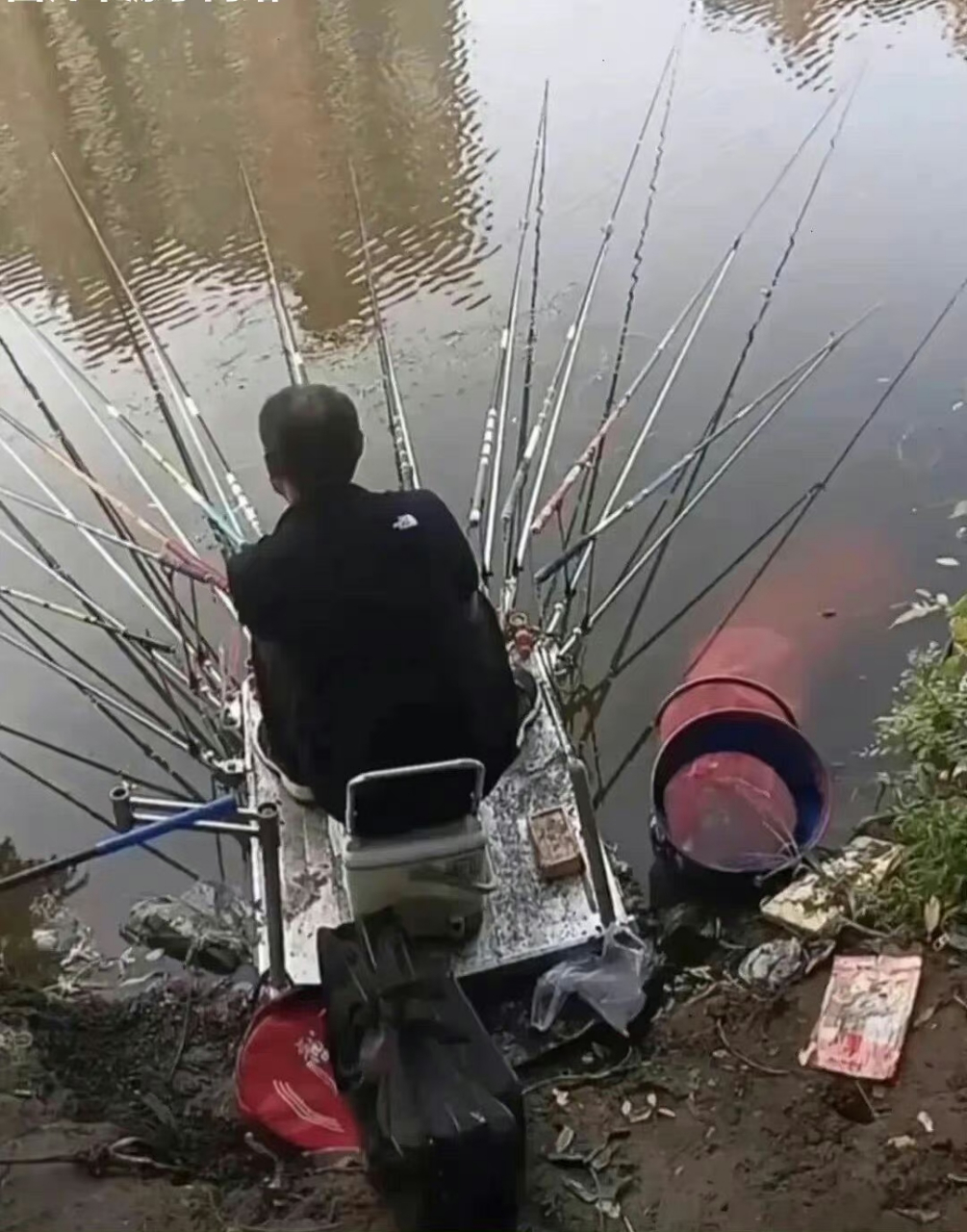 这里的鱼犯天条了?