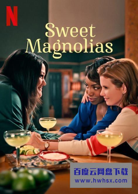 [甜木兰 Sweet Magnolias 第一季][全10集]4K|1080P高清百度网盘
