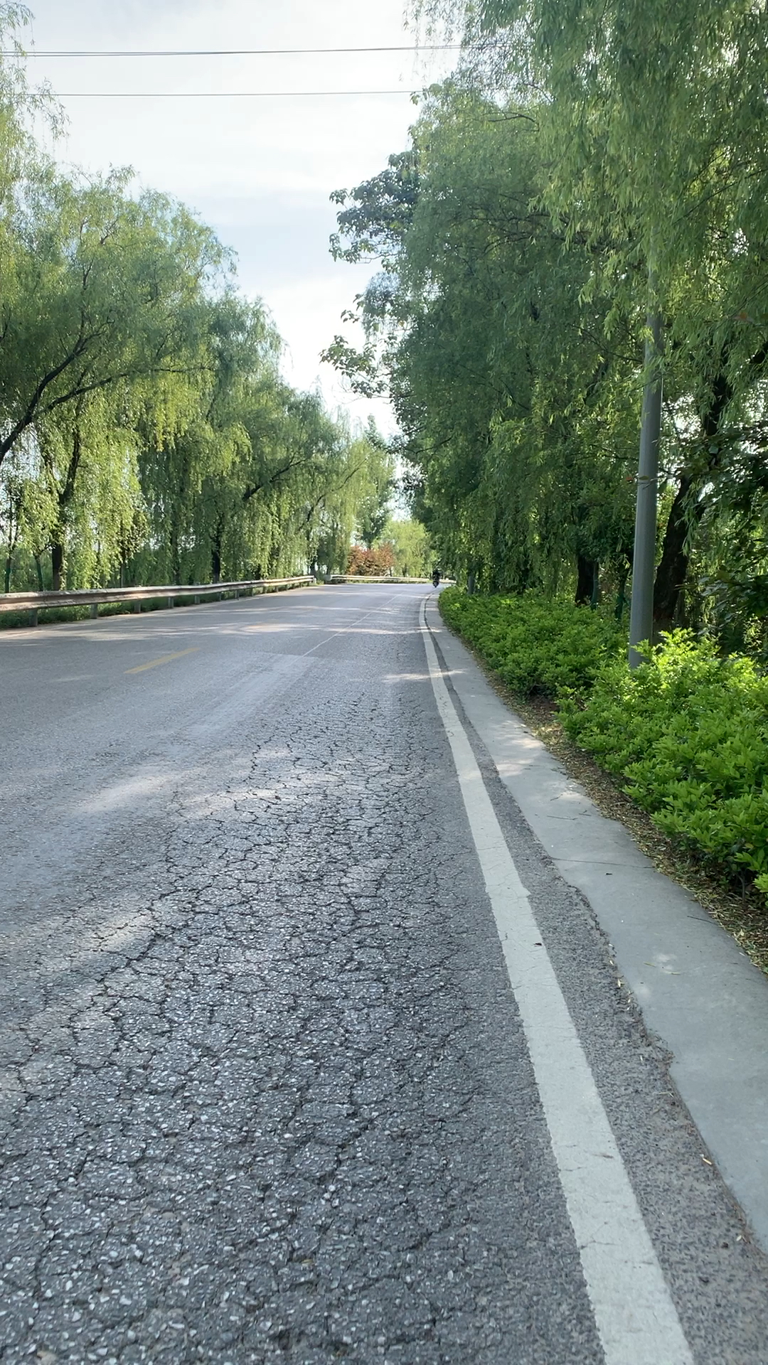 上班路上的风景