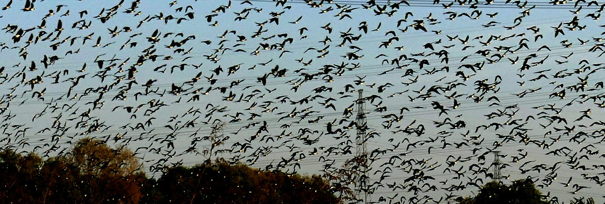 我与周遭皆过客,愿我们都能登临《十重天》