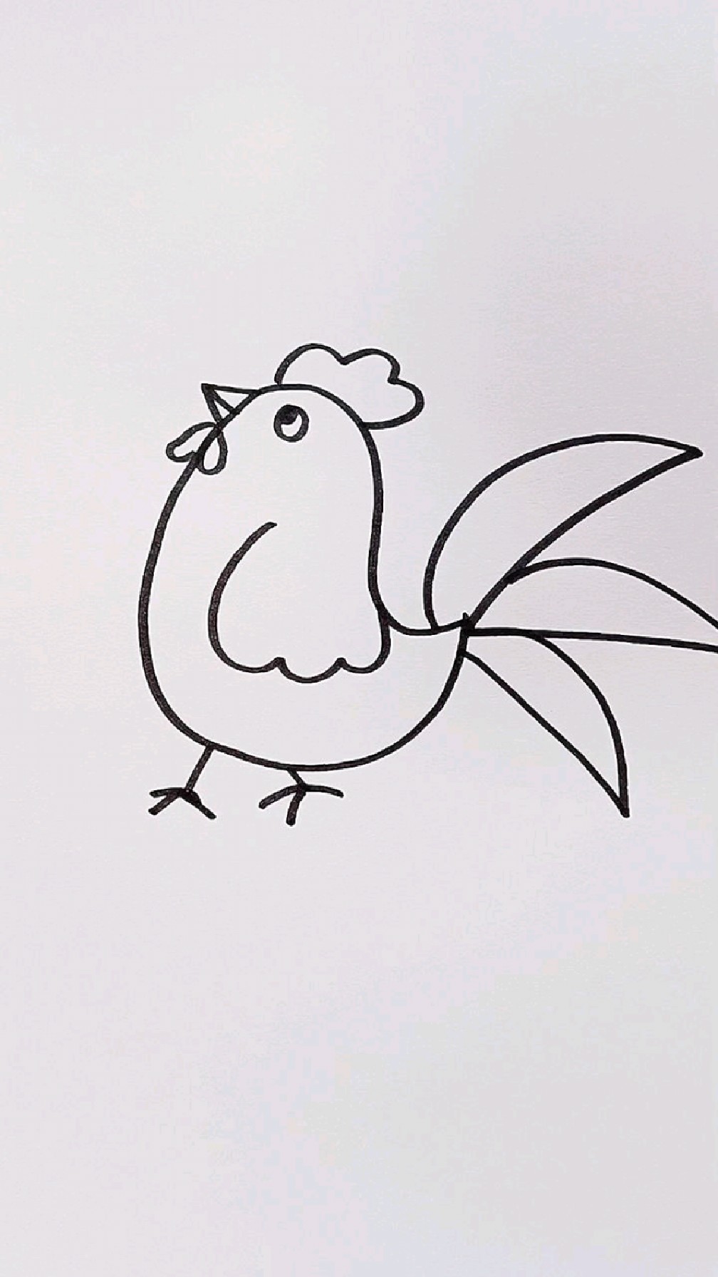 简笔画公鸡的画法图片
