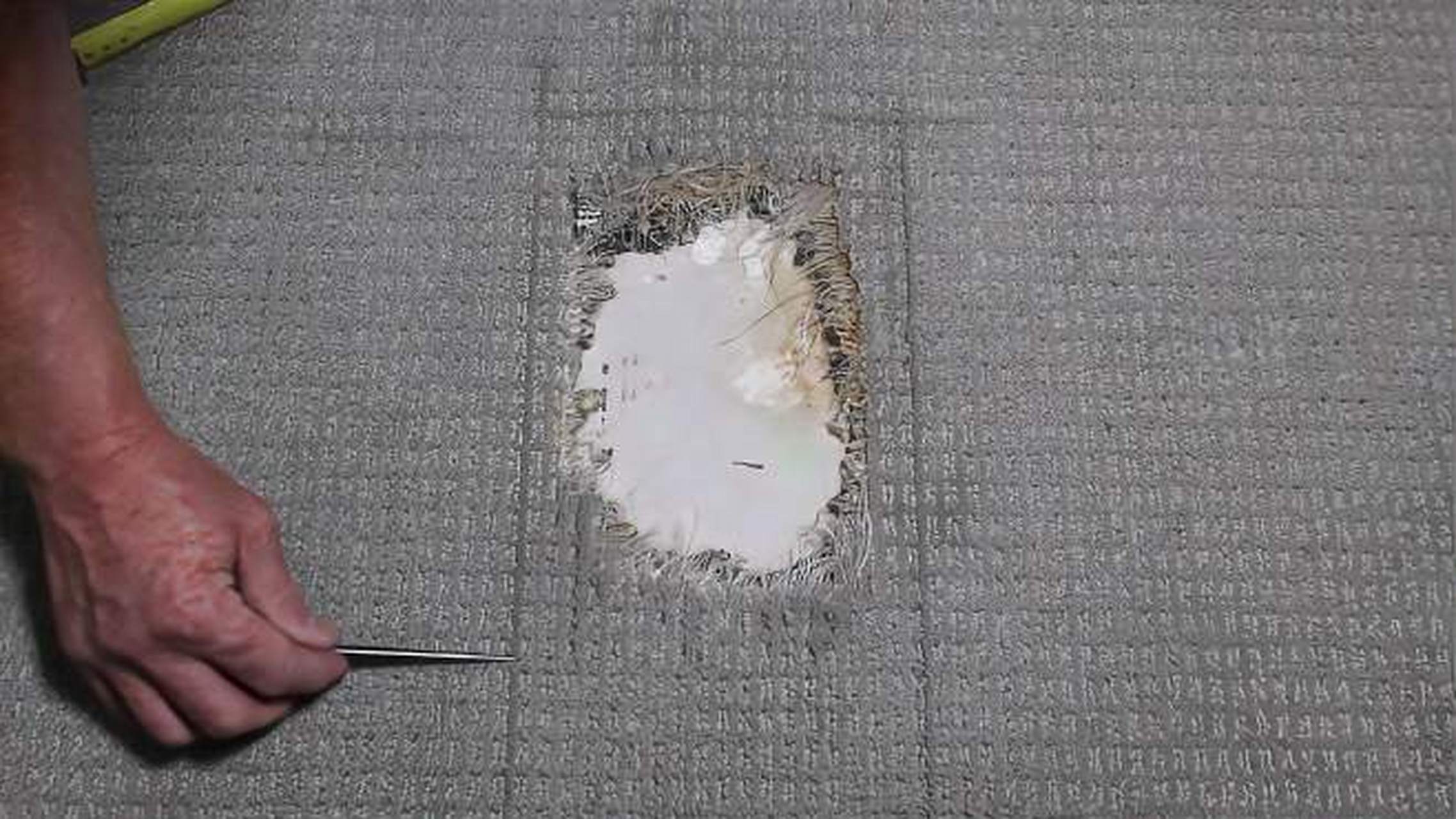 为什么地毯式搜索没能找到相关人员?