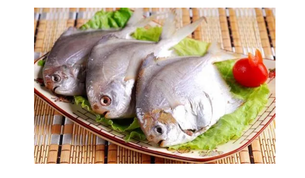 镜鱼和平鱼的区别