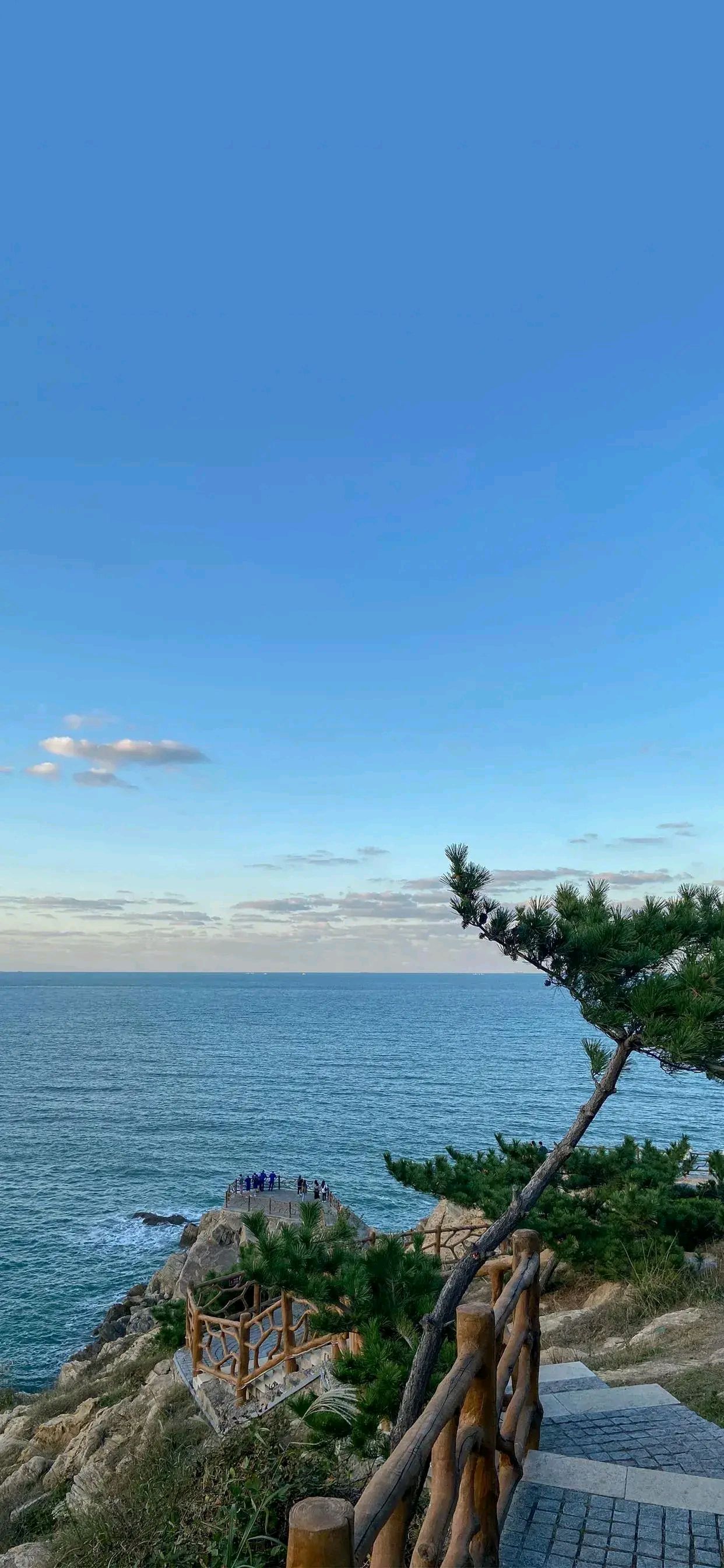 3.19全面屏高清手机壁纸