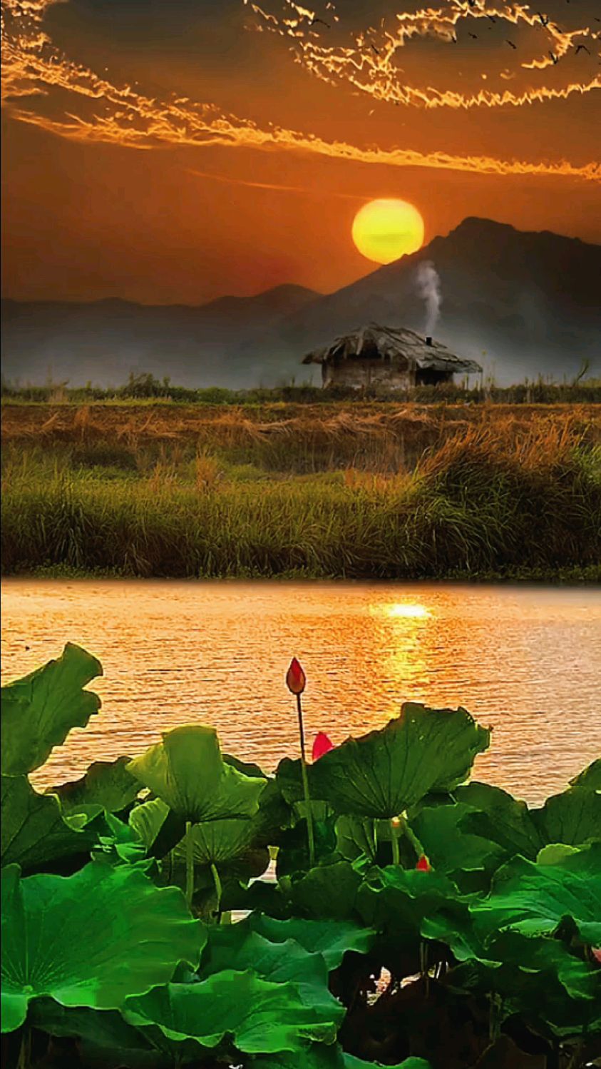 夕阳西下风景独特,大自然的美景等着我们一一去发觉.