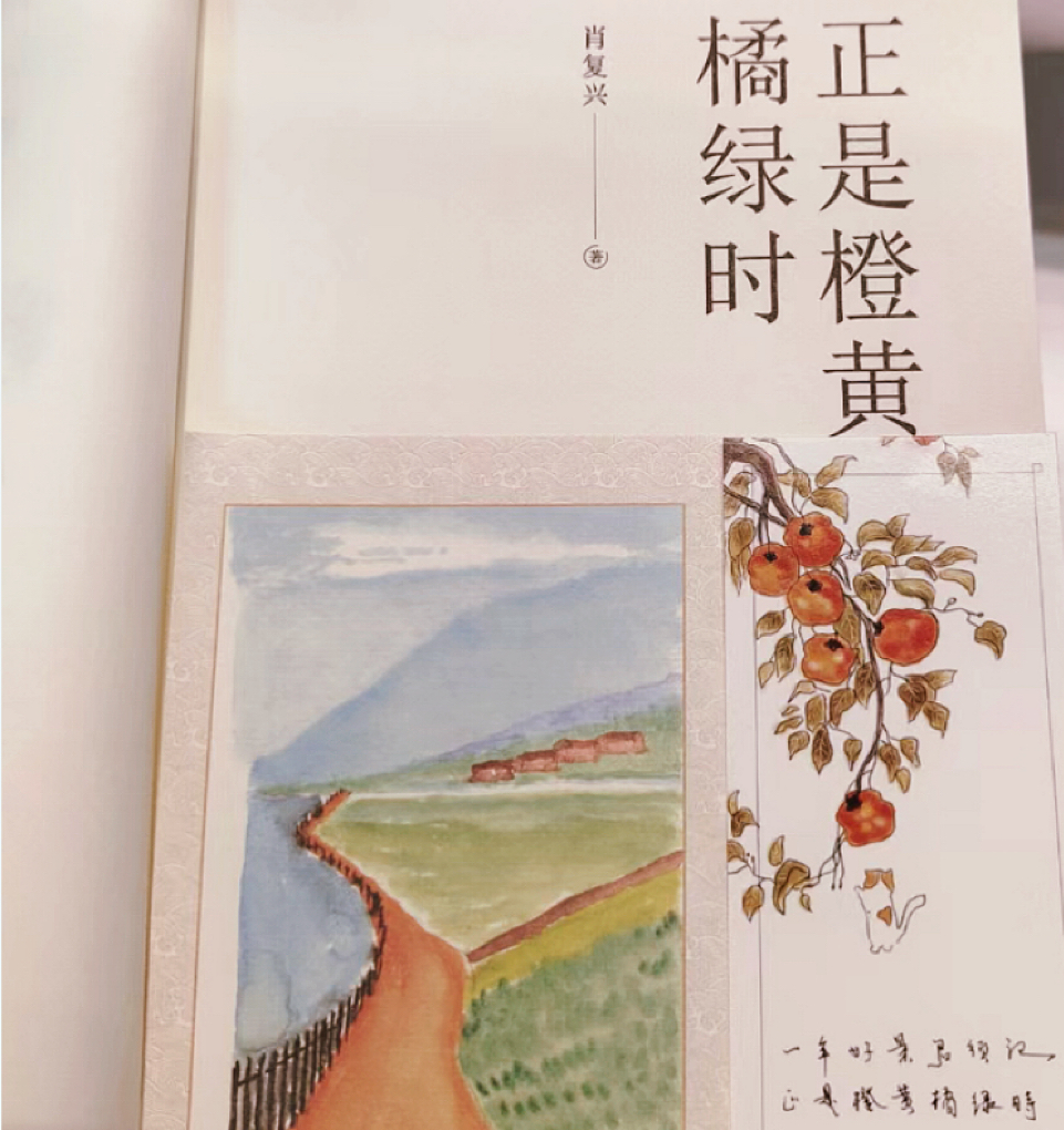 好书推荐:《正是橙黄橘绿时》温暖着三餐四季