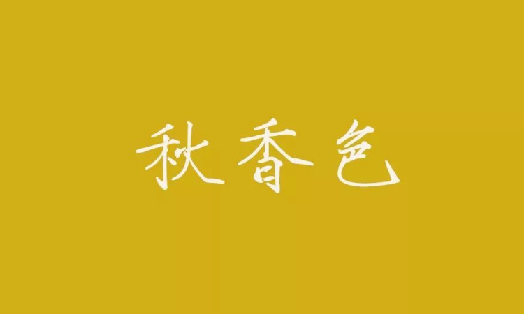 秋香黄颜色显皮肤白吗