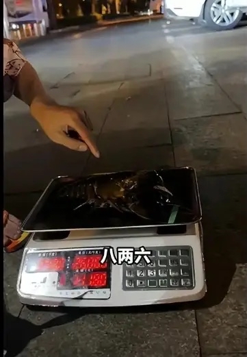 三亚海鲜市场宰客,一斤海鲜只有五两:100万粉丝博主揭露黑幕