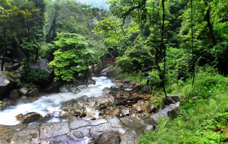 株洲特色景点图片