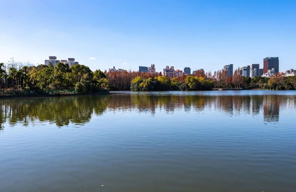 上海黄兴公园令人沉醉其中